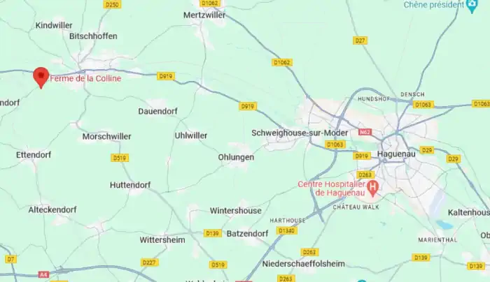 Localisation Google Map